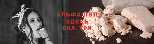 прущие крисы Алзамай